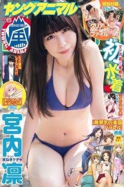 打黑风暴在线播放免费完整版