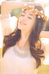 春花焰电视剧免费观看